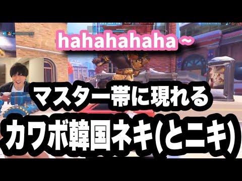 マスター帯に現れるカワボ韓国ネキ