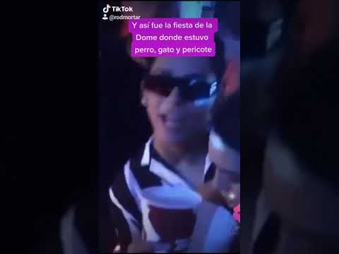 1° parte de la Tremenda fiesta de cumpleaños de  Domelipa donde se junto perro, gato y pericote ?