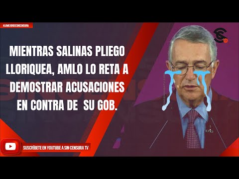 MIENTRAS SALINAS PLIEGO LLORIQUEA, AMLO LO RETA A DEMOSTRAR ACUSACIONES EN CONTRA DE  SU GOB.