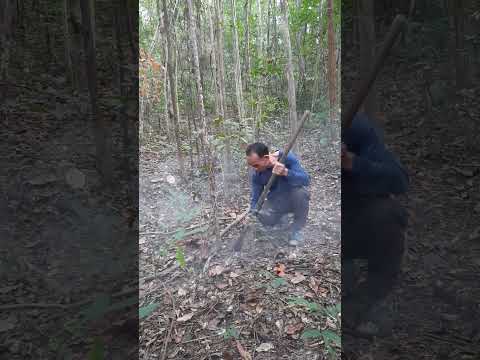 คนบ่ย้านผี