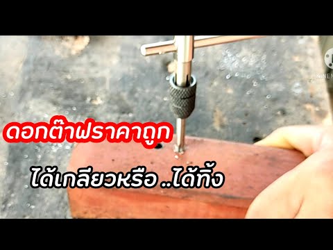 ดอกต๊าฟเกลียวราคาถูกจาก-Shopee ดอกต๊าฟเกลียวราคาถูกจาก-Shopee
