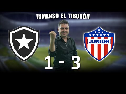 Botafogo1-3 Junior | Copa Libertadores 2024 | Resumen, Goles y Táctica por Juan Felipe Cadavid