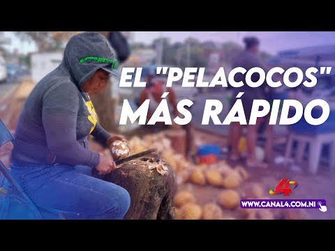 Buscando al pela cocos más rápido de Managua