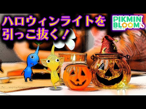 【ピクミンブルーム】ハロウィンライトを引っこ抜く！【Pikmin Bloom】