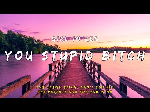 girl in red - You Stupid Bitch (Lyrics)