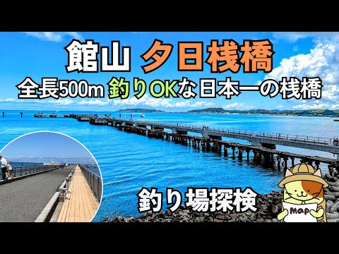 全長500m「館山夕日桟橋」釣り場探検｜無料駐車場・トイレ完備。渚の駅たてやま隣接。先端エリア水深10m以上。釣りOKな日本最長の桟橋。夢のような場所だがしかし・・