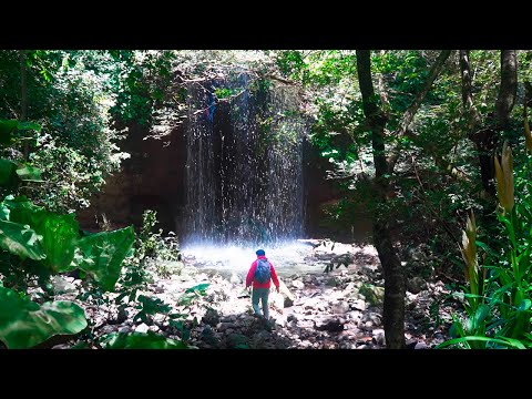 Conocí la TEMIDA CASCADA de LAS CULEBRAS | Cerro La Culebra, Anamoros, El Salvador