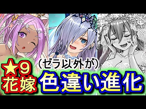 【どうして...】オラ、お色直しさせてもらえないゼラ。。～ジューンブライドガチャ～【パズドラ】