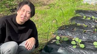 動画サムネイル
