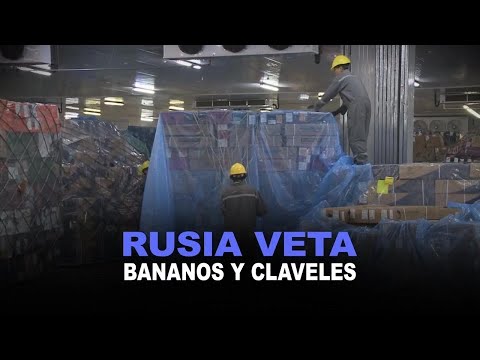 Rusia suspendió la importación del banano ecuatoriano