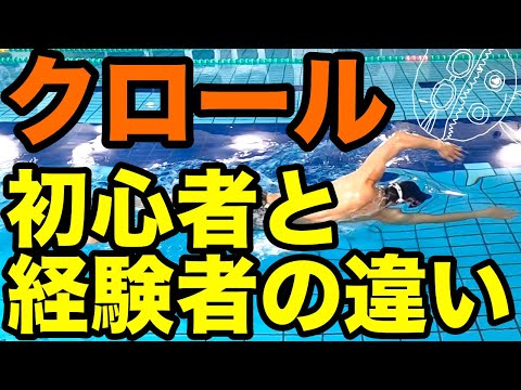 【クロール】経験者の当たり前・初心者の知らない事【上達の近道】気をつけるべきポイント