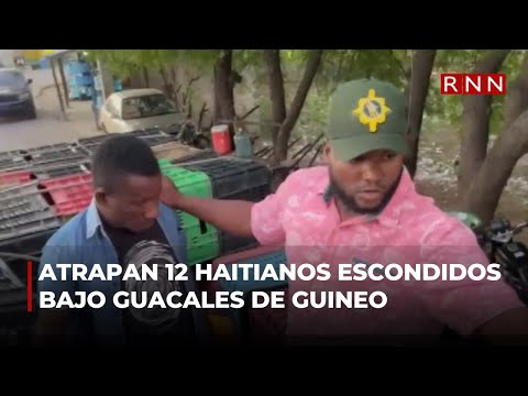 Atrapan 12 haitianos escondidos bajo guacales de guineo en Montecristi