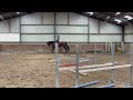 Allround chevaux Fijn voltige paard