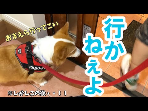 さんぽ拒否の愛犬を歩かせるため、父が考えたまさかの方法とは！？