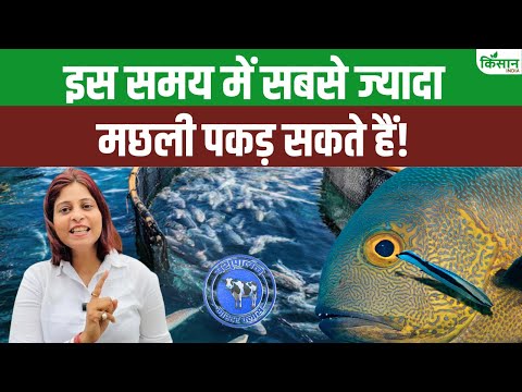 इस समय में पकड़े मछली, हो जाएंगे मालामाल!। Fishing Tips। How To Catch Fish। Fishing Techniques
