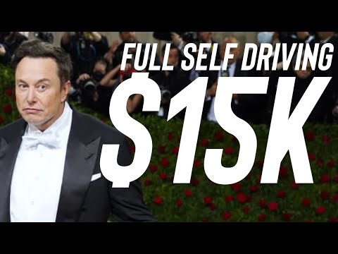 Is Elon Crazy for Asking K for Full Self Driving?