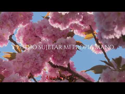 Miley Cyrus - Flowers (Sub. Español / Traducida Al Español)