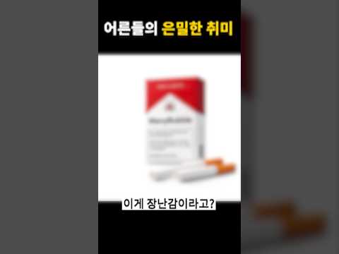 어른들의 은밀한 취미