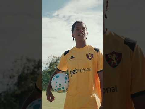 image para ilustrar o artigo