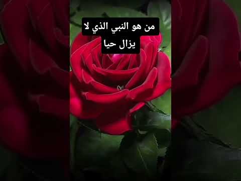 من هو النبي الذي لا يزال حيا #موعظة #ذكر_الله