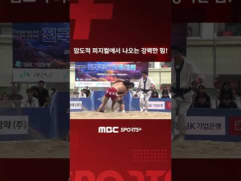 압도적 피지컬에서 나오는 강력한 힘! I 2026 대한체육회장기 전국 장사 씨름대회