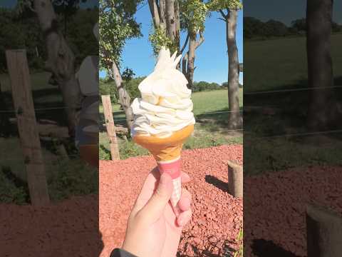 ［当別町］milk soft cream /ジャージーの箱庭