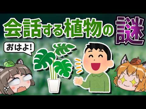 【マジ？】植物同士が実は「会話」してるって知ってましたか？