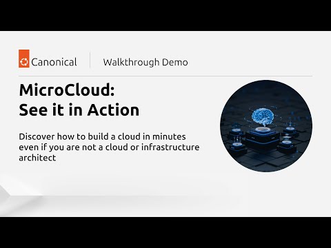 MicroCloud LTS Demo