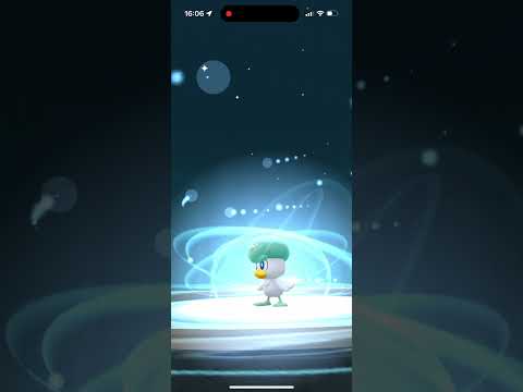 【ポケモンGO】色違いウェルカモへ進化させる!コミュニティデイ #shorts