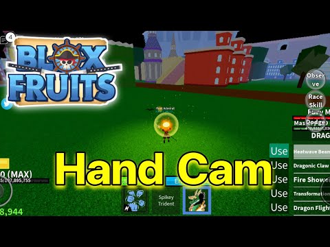 HandCam[BLOXFRUIT]