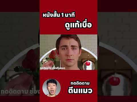 movienetflixข่าวดาราสนุก