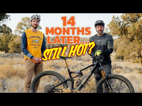 Amflow PL Carbon Pro – Passed Around and Parked Dirty
