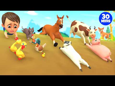 Oh No! Baby Animals Stuck in Mud 😲 Duckling Rescue Mission | Farm Animals Sounds & Names 30 Minutes