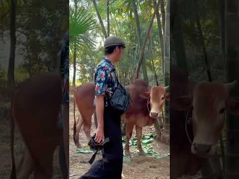 အညာမြေမှာ 🍂