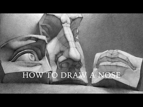 How to Draw a Nose