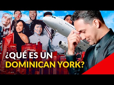 ¿Qué Es Un Dominican York? | Antinoti