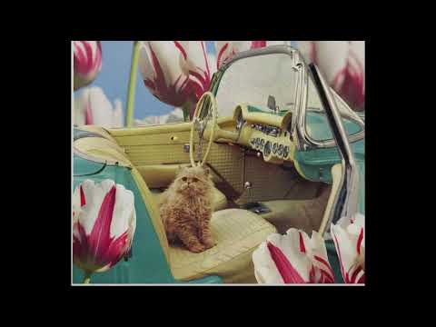 Shac Rivers - 04 - Ipcress