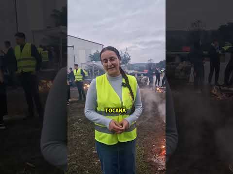 Mărturii din Misiunea Bucovina