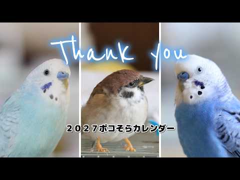 最後のポコそらカレンダーです