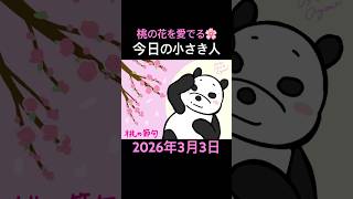 【 #speedpaint  】「桃の花を愛でながら走る小さき人」 2026年3月3日 #今日の小さき人 #shorts #chiisaki