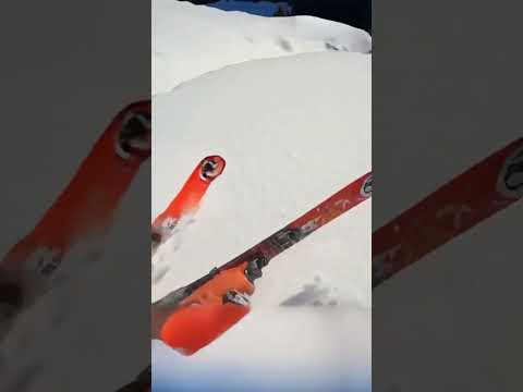 Klik hier om Kwebbelkop van 26 november te bekijken.