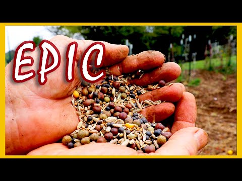 EPIC Last Day of Summer | Cover Crop, Tilling, Planting!