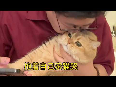 【#Pupu噗噗】事实证明猫是导体