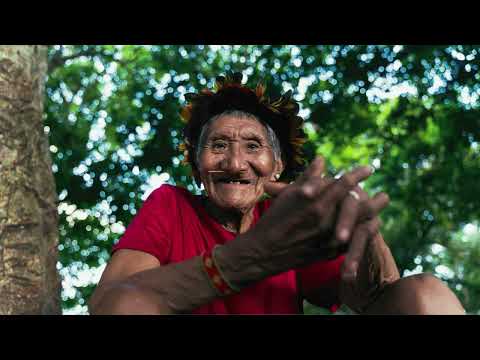 Ocupar espaços sem esquecer as raízes | Priscila Tapajowara | TEDxAmazônia Salon
