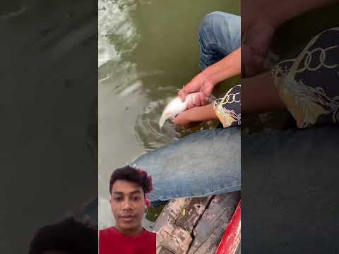 #fishing #fish #cambodianfoodtour #cambodianfood #food #funny