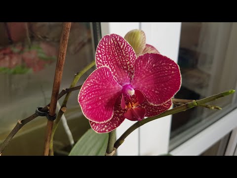 С днем рождения Март и Мои мартовские именинники 01.03.26