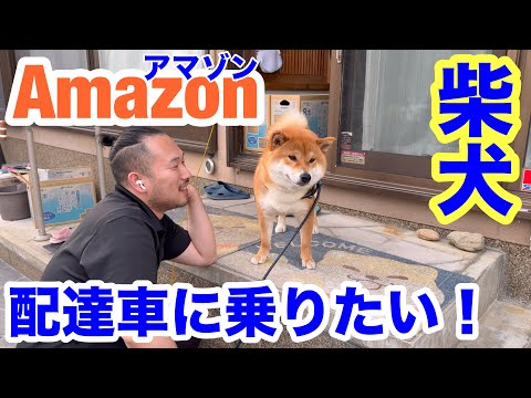 【柴犬】Amazonさん！僕は車に乗りたいの！