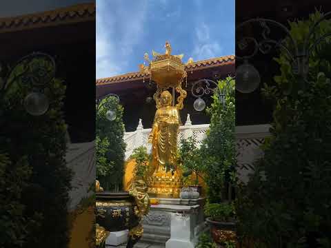 KHỞI ĐẦU NGÀY MỚI NHẸ NHÀNG SÂU LẮNG NÓI CÂU: NAM MÔ A DI ĐÀ PHẬT. GẠT BỎ BUỒN PHIỀN