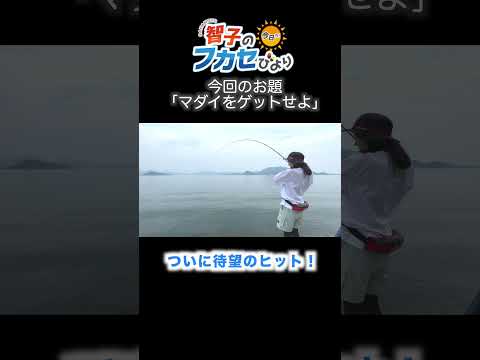 【神回】夕マヅメ一発！40cmオーバー真鯛をフカセ釣りで仕留めた瞬間🎣🔥[阪本智子]