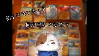 【ポケモンカード】初購入